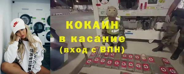 индика Аркадак