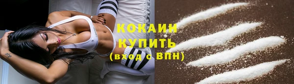 прущий лед Арсеньев