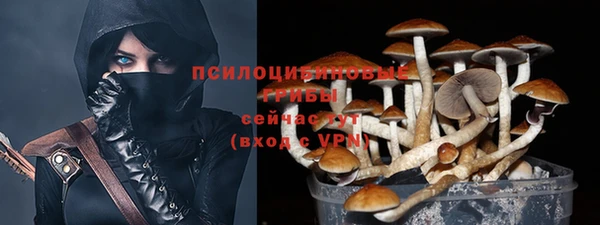 индика Аркадак