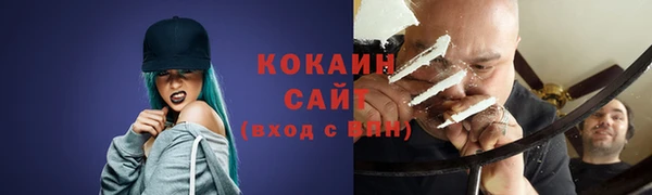 индика Аркадак