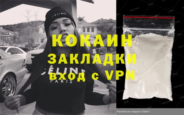 индика Аркадак