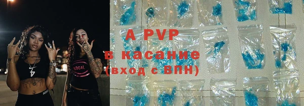индика Аркадак