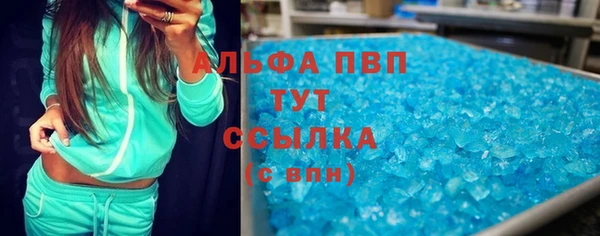индика Аркадак