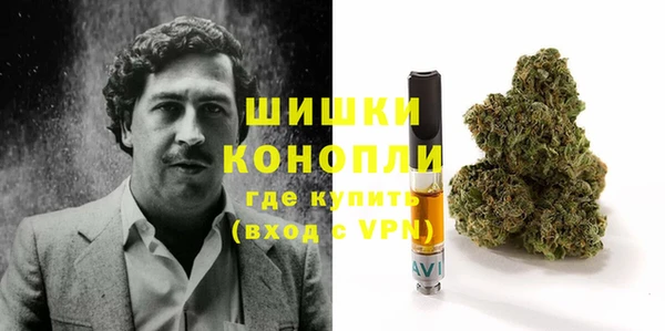 индика Аркадак